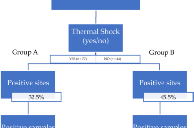 Legionella: Estudio conjunto Biolinea – UIB