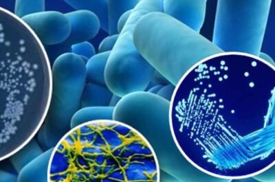 PUBLISHED THE NEW SPANISH ROYAL DECREE FOR THE PREVENTION AND CONTROL OF LEGIONELLA